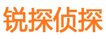 迎江外遇出轨调查取证